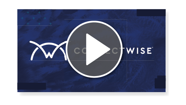 Delivering Software Solutions via Automate